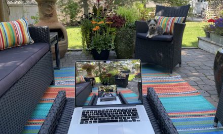 Summer 2025 Newsletter – Quinquennial Edition